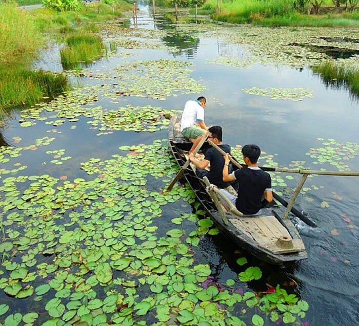 Thời điểm nên đi trải nghiệm rừng U Minh Hạ